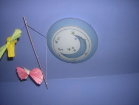 dscn6375.jpg