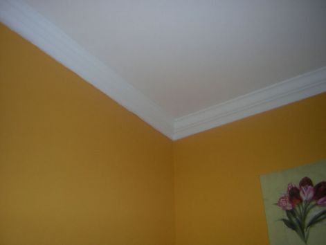 dscn6380.jpg